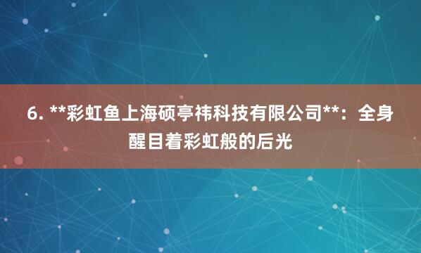 6. **彩虹鱼上海硕亭祎科技有限公司**：全身醒目着彩虹般的后光